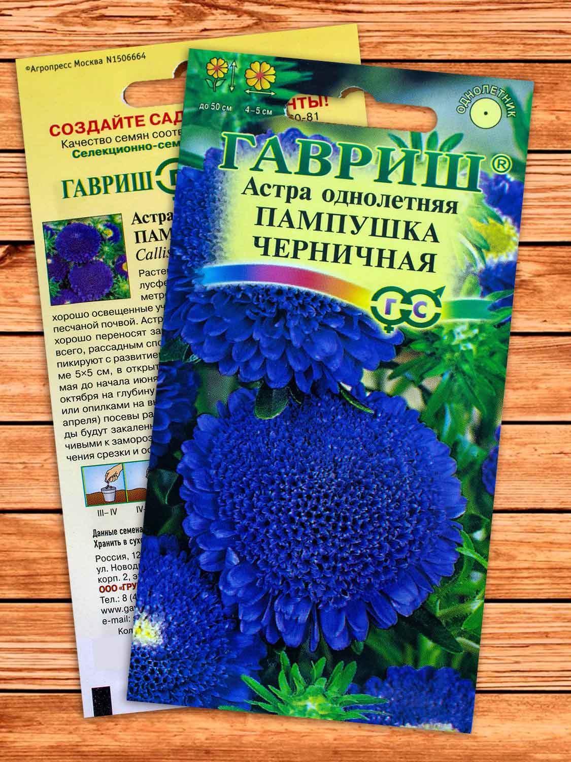 Астра Пампушка Черничная, помпонная 0,3 гр.