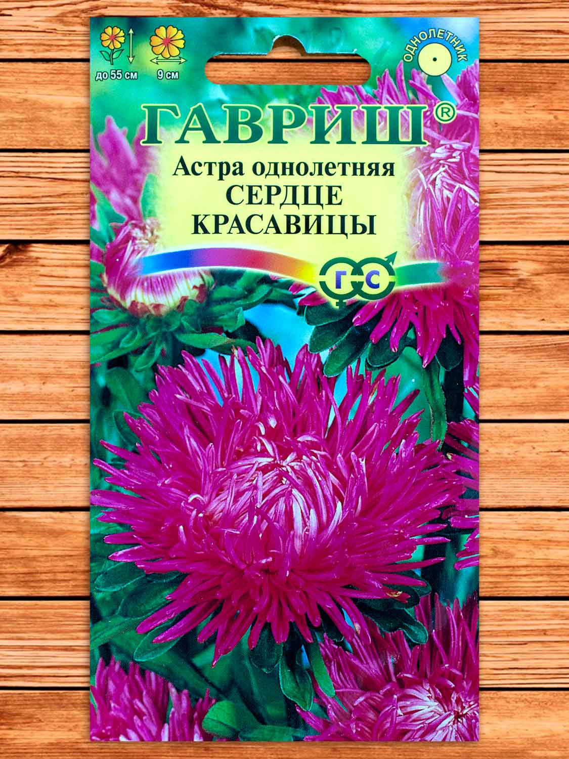 Астра Сердце Красавицы, красно-пурпурная игольчатая  0,3 гр.