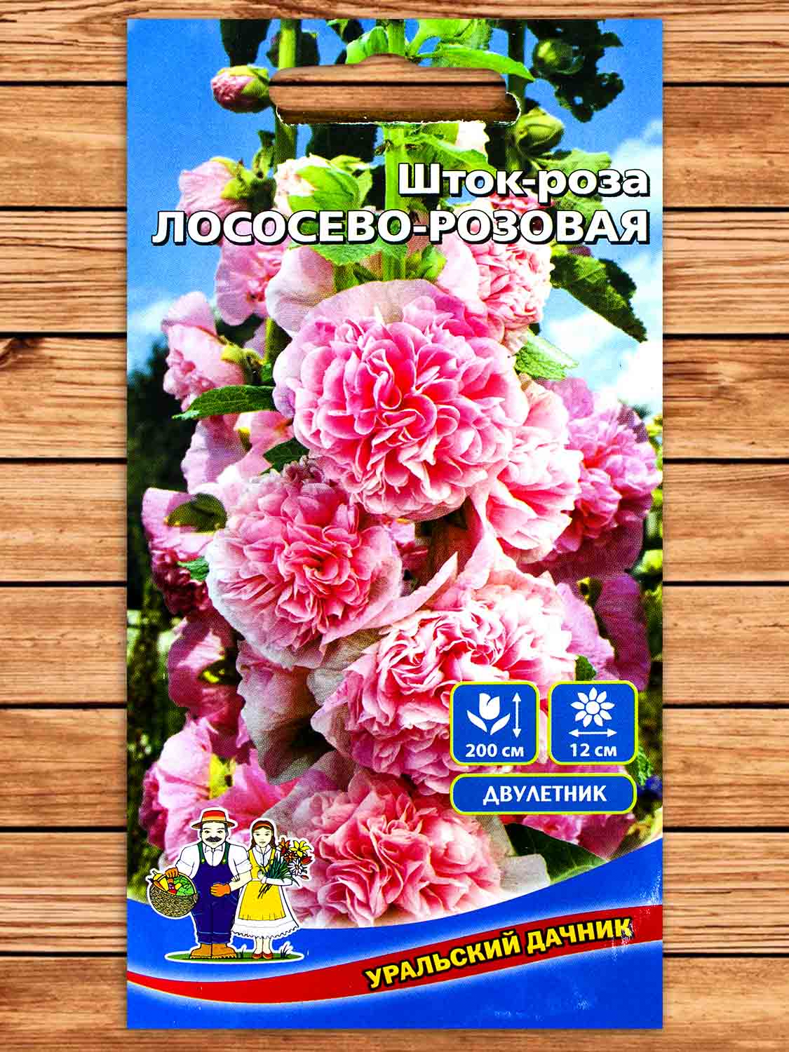 Шток-Роза Лососево-Розовая 10 шт.