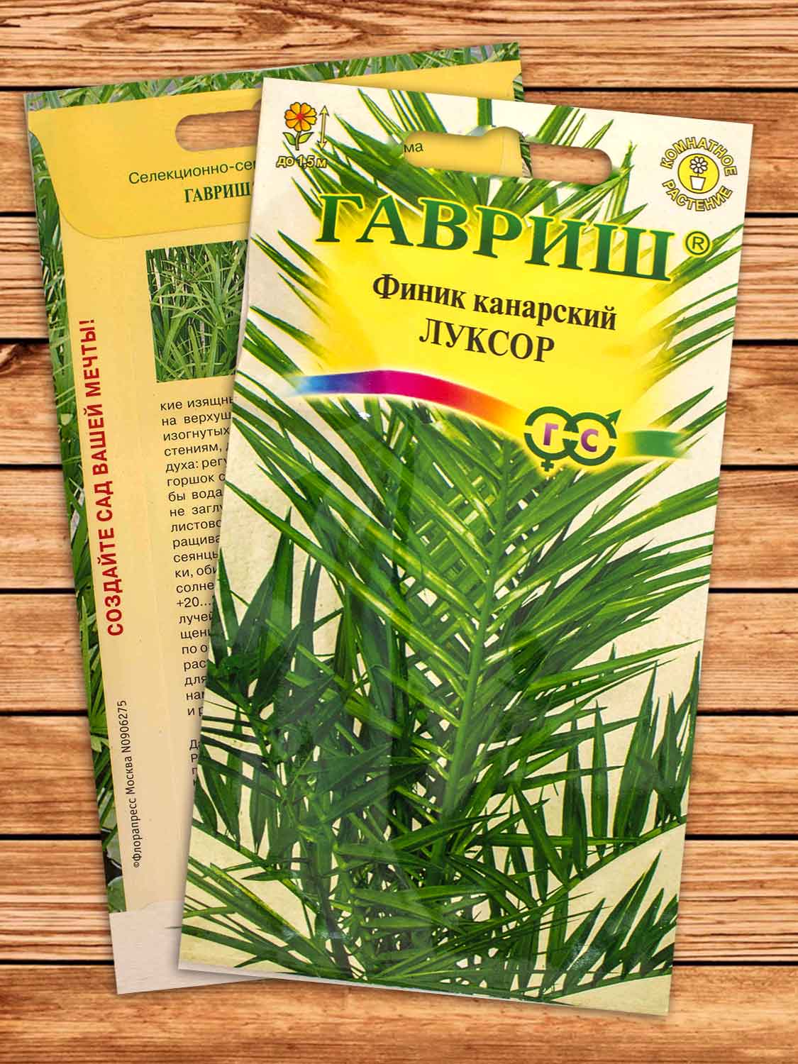Финик Луксор канарский 2 шт.