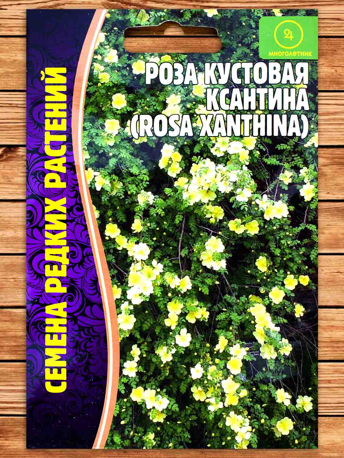 Роза Кустовая Ксантина 10 шт.