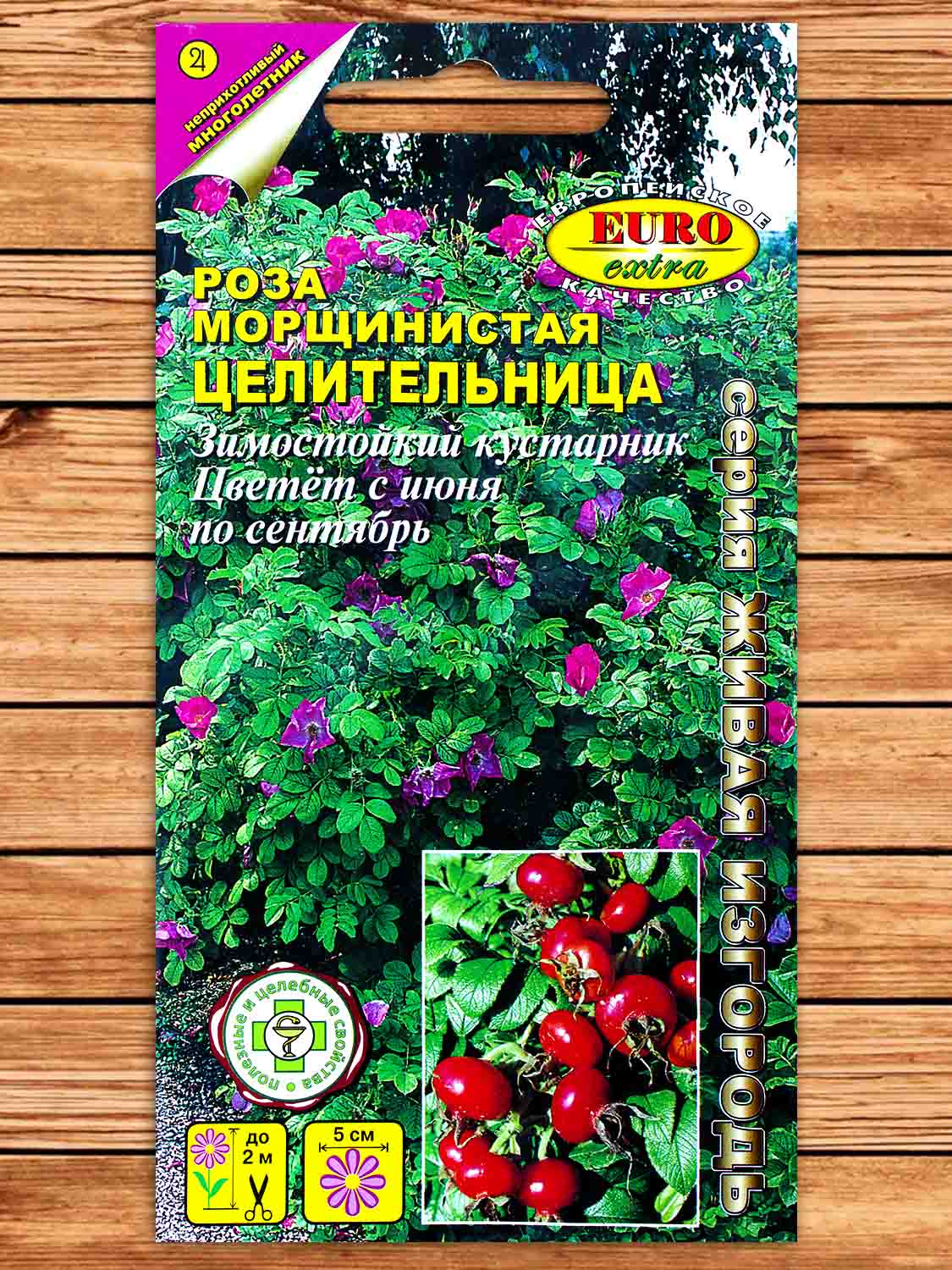 Роза морщинистая Целительница Шиповник 0,25 гр.