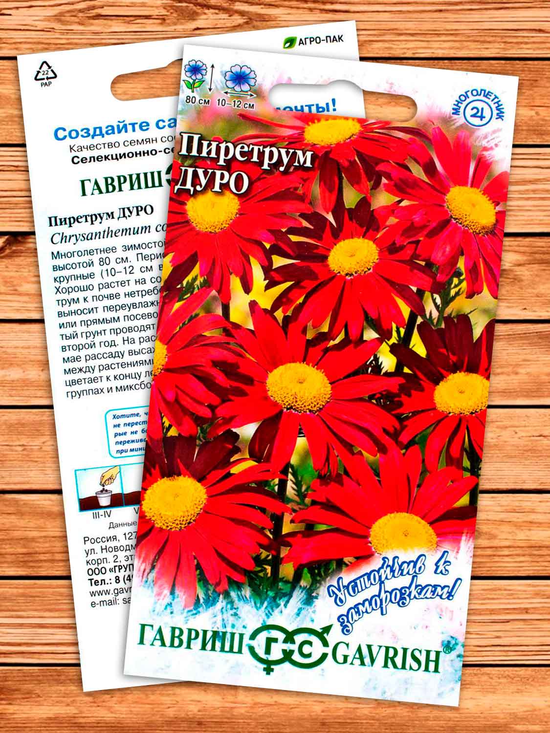 Пиретрум Дуро 0,2 гр. серия Устойчив к заморозкам!